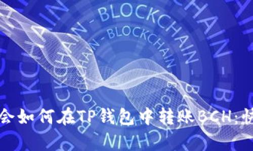 轻松学会如何在TP钱包中转账BCH：快速指南