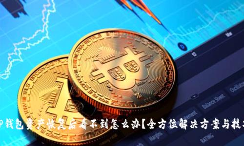 TP钱包资产恢复后看不到怎么办？全方位解决方案与技巧
