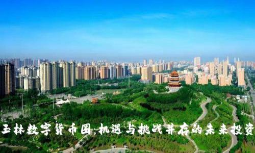 探秘玉林数字货币圈：机遇与挑战并存的未来投资之路
