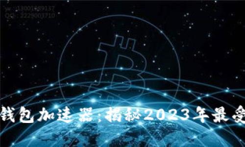 挑选最佳TP钱包加速器：揭秘2023年最受欢迎的选择
