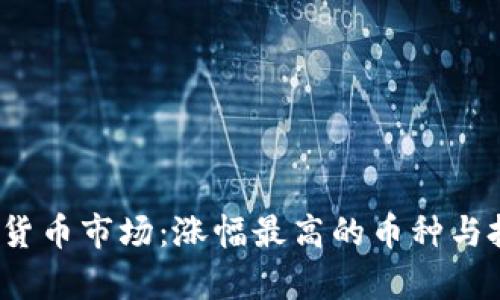2023年数字货币市场：涨幅最高的币种与投资趋势分析