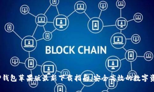 : 2023年TP钱包苹果版最新下载指南：安全高效的数字资产管理利器