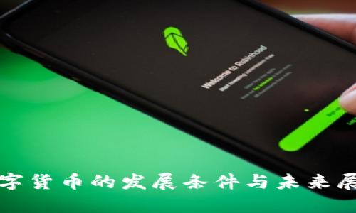 数字货币的发展条件与未来展望