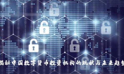 揭秘中国数字货币投资机构的现状与未来趋势