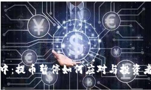 TP钱包维护中：提币暂停如何应对与投资者的现实挑战