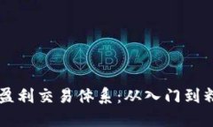 掌握数字货币盈利交易体系：从入门到精通的全