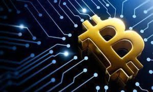 

数字货币期货交易新手指南：如何选择最适合你的平台