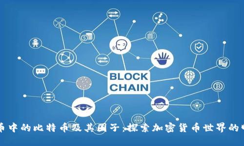 数字货币中的比特币及其圈子：探索加密货币世界的明星角色
