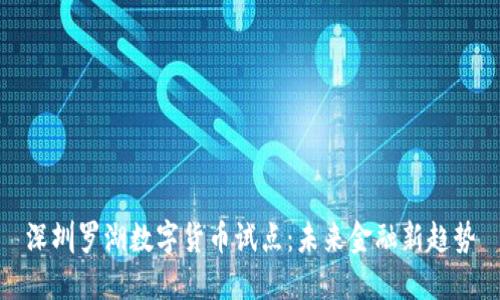 深圳罗湖数字货币试点：未来金融新趋势