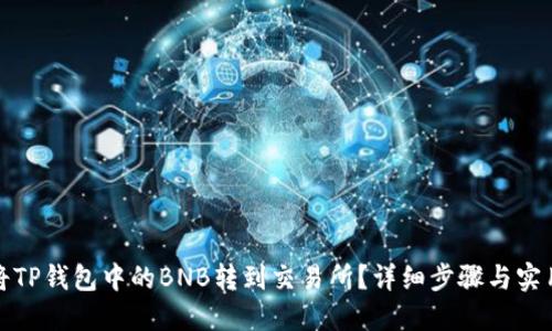 如何将TP钱包中的BNB转到交易所？详细步骤与实用技巧