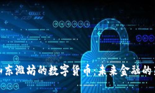 探索山东潍坊的数字货币：未来金融的新趋势