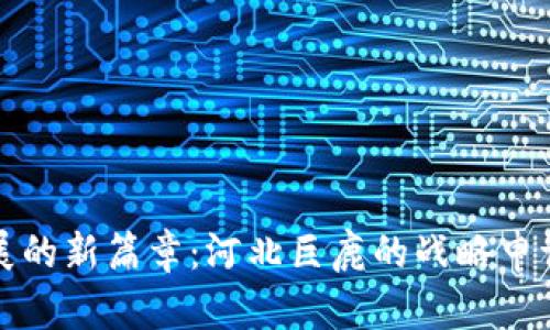 数字货币发展的新篇章：河北巨鹿的战略申请与未来展望