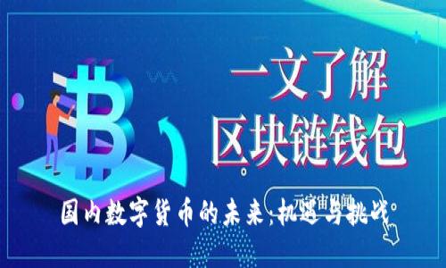 国内数字货币的未来：机遇与挑战