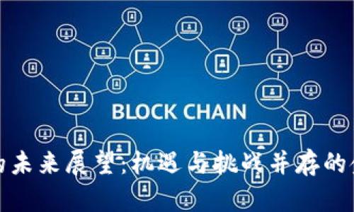 数字货币的未来展望：机遇与挑战并存的金融新纪元