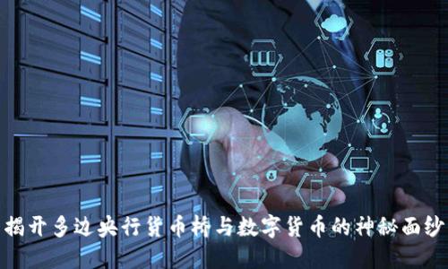 揭开多边央行货币桥与数字货币的神秘面纱