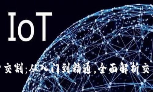 数字货币期货交割：从入门到精通，全面解析交易平台与策略