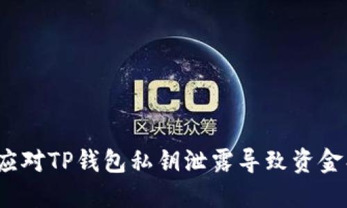 如何应对TP钱包私钥泄露导致资金损失？
