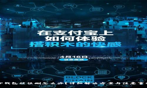 TP钱包被误删怎么办？详细解决方案与注意事项