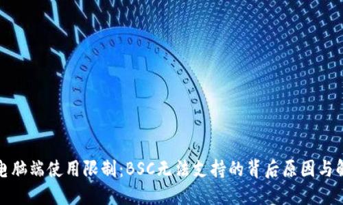 TP钱包电脑端使用限制：BSC无法支持的背后原因与解决方案