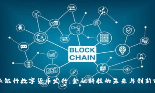 农业银行数字货币发行：金融科技的未来与创新前沿
