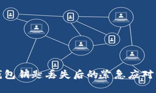 TP钱包钥匙丢失后的紧急应对方案