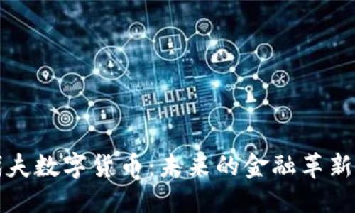 马尔代夫数字货币：未来的金融革新与机遇