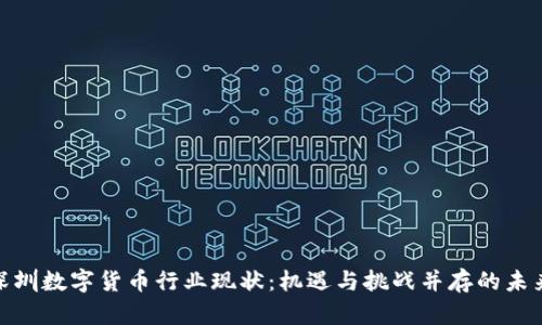 探索深圳数字货币行业现状：机遇与挑战并存的未来趋势
