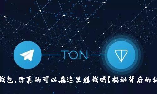 :TP钱包，你真的可以在这里赚钱吗？揭秘背后的秘密！