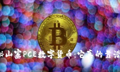 揭秘山寨PCE数字货币：它真的靠谱吗？