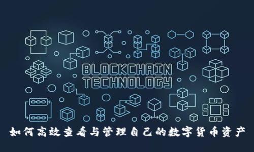 如何高效查看与管理自己的数字货币资产