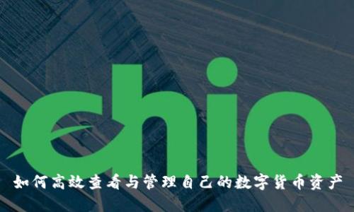 如何高效查看与管理自己的数字货币资产