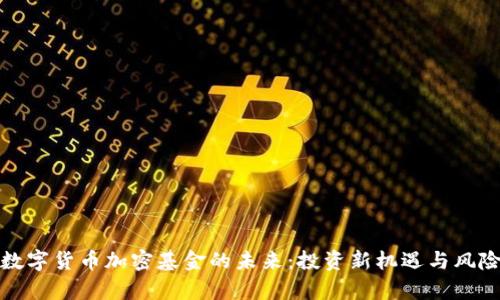 探索数字货币加密基金的未来：投资新机遇与风险分析