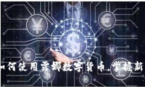 全面解析：如何使用露娜数字货币，掌握新兴投资趋势