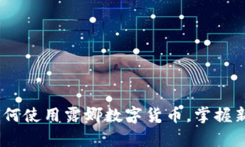 全面解析：如何使用露娜数字货币，掌握新兴投资趋势