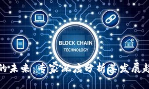 数字货币的未来：专家深度分析其发展趋势与挑战