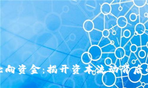: 数字货币北向资金：揭开资本流动背后的秘密与趋势