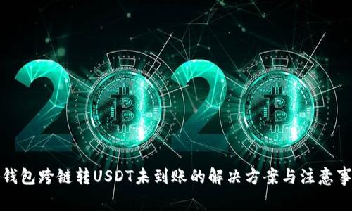 TP钱包跨链转USDT未到账的解决方案与注意事项