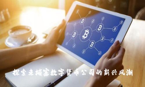 探索柬埔寨数字货币公司的新兴风潮