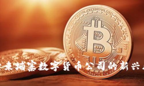 探索柬埔寨数字货币公司的新兴风潮