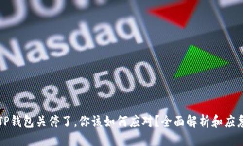 如果TP钱包关停了，你该如何应对？全面解析和应急指南