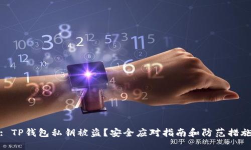 : TP钱包私钥被盗？安全应对指南和防范措施