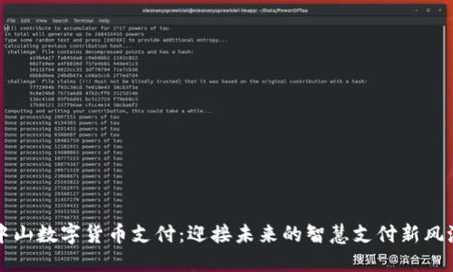 中山数字货币支付：迎接未来的智慧支付新风潮