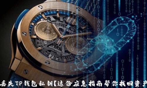 
丢失TP钱包私钥？这份应急指南帮你找回资产