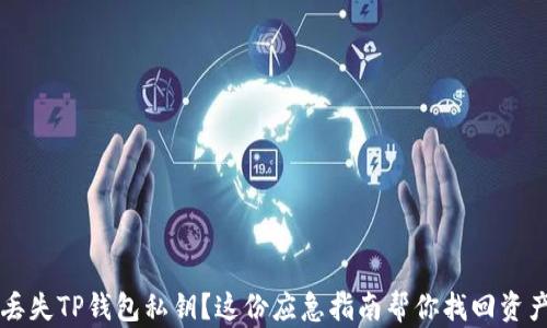 
丢失TP钱包私钥？这份应急指南帮你找回资产
