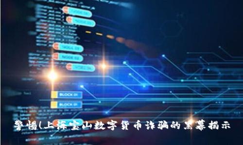 警惕！上海宝山数字货币诈骗的黑幕揭示