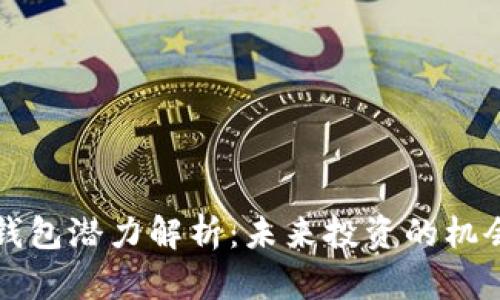 以太坊钱包潜力解析：未来投资的机会与挑战