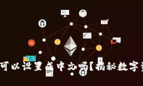 t p钱包的私钥可以设置成中文吗？揭秘数字资产安全新趋势