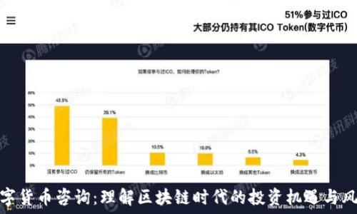  

数字货币咨询：理解区块链时代的投资机遇与风险
