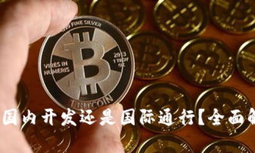 以太坊钱包：是国内开发还是国际通行？全面解析与发展趋势