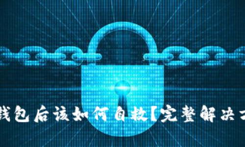 被骗使用假TP钱包后该如何自救？完整解决方案与案例分析